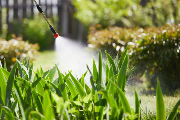 Tamper-Resistant Bait Stations for Rodents in Brandywine