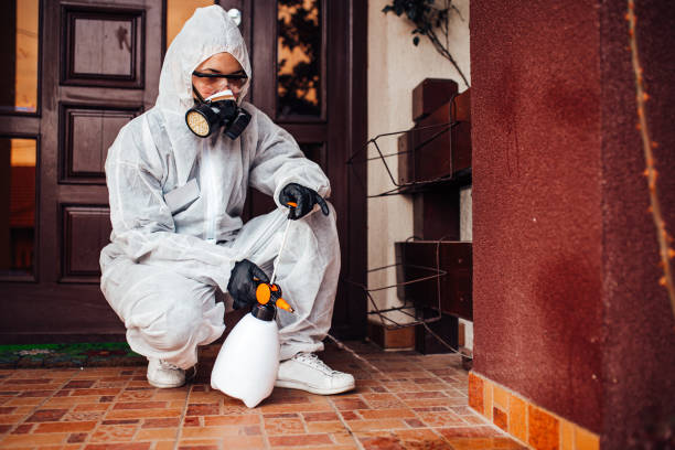 Attic and Crawl Space Rodent Treatment in Brandywine