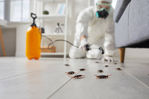 Commercial Rodent Management in Brandywine